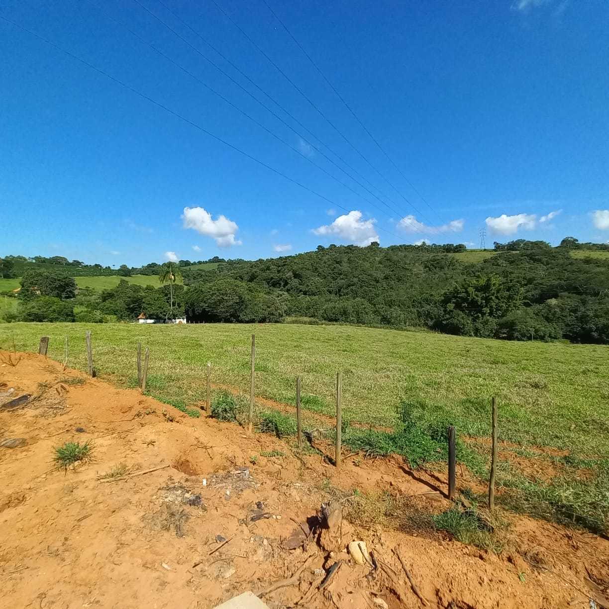 Chácara à venda com 1 quarto, 13000m² - Foto 24