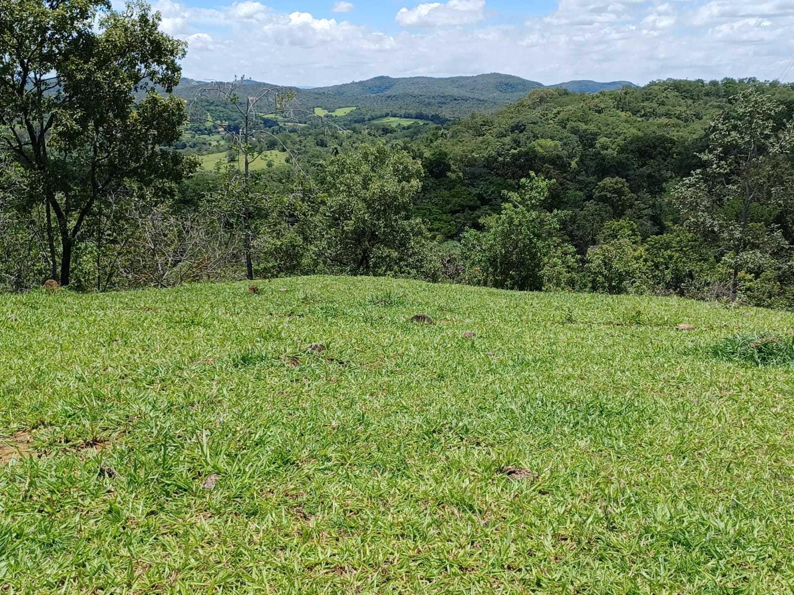 Chácara à venda com 3 quartos, 800000m² - Foto 15