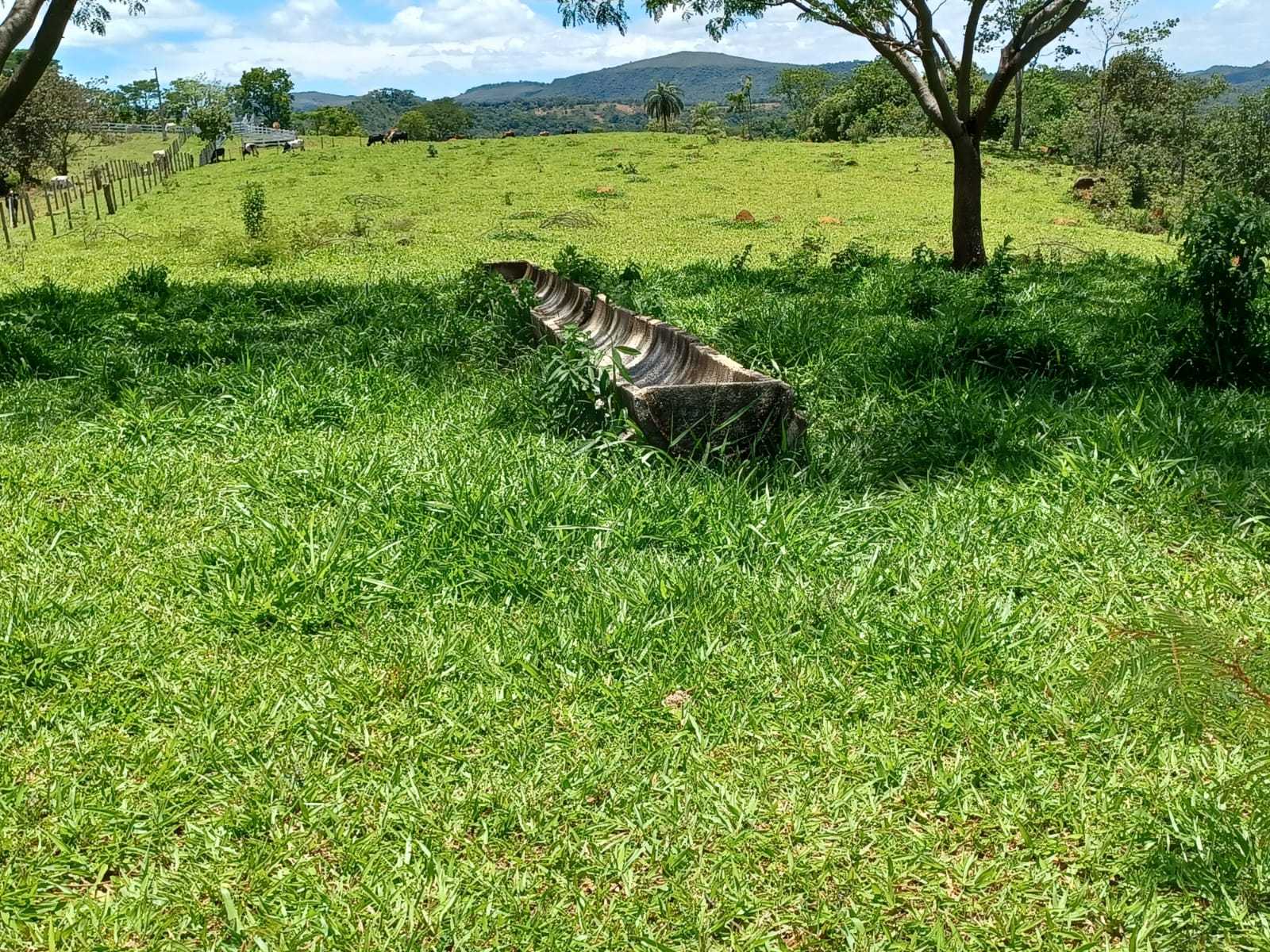 Chácara à venda com 3 quartos, 800000m² - Foto 11