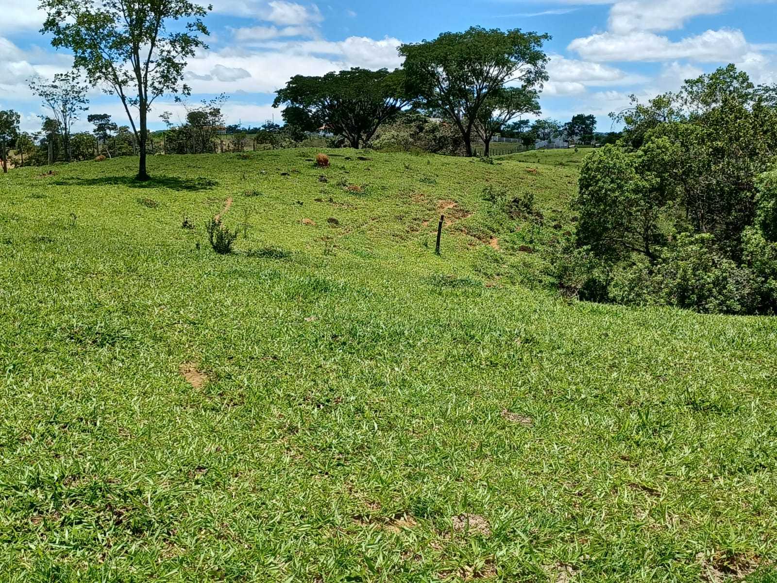 Chácara à venda com 3 quartos, 800000m² - Foto 1