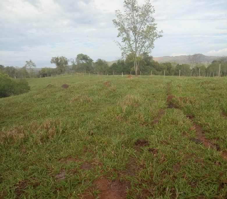 Chácara à venda com 3 quartos, 800000m² - Foto 8