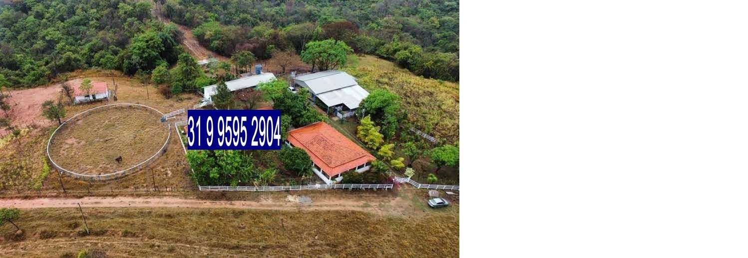 Chácara à venda com 3 quartos, 800000m² - Foto 23