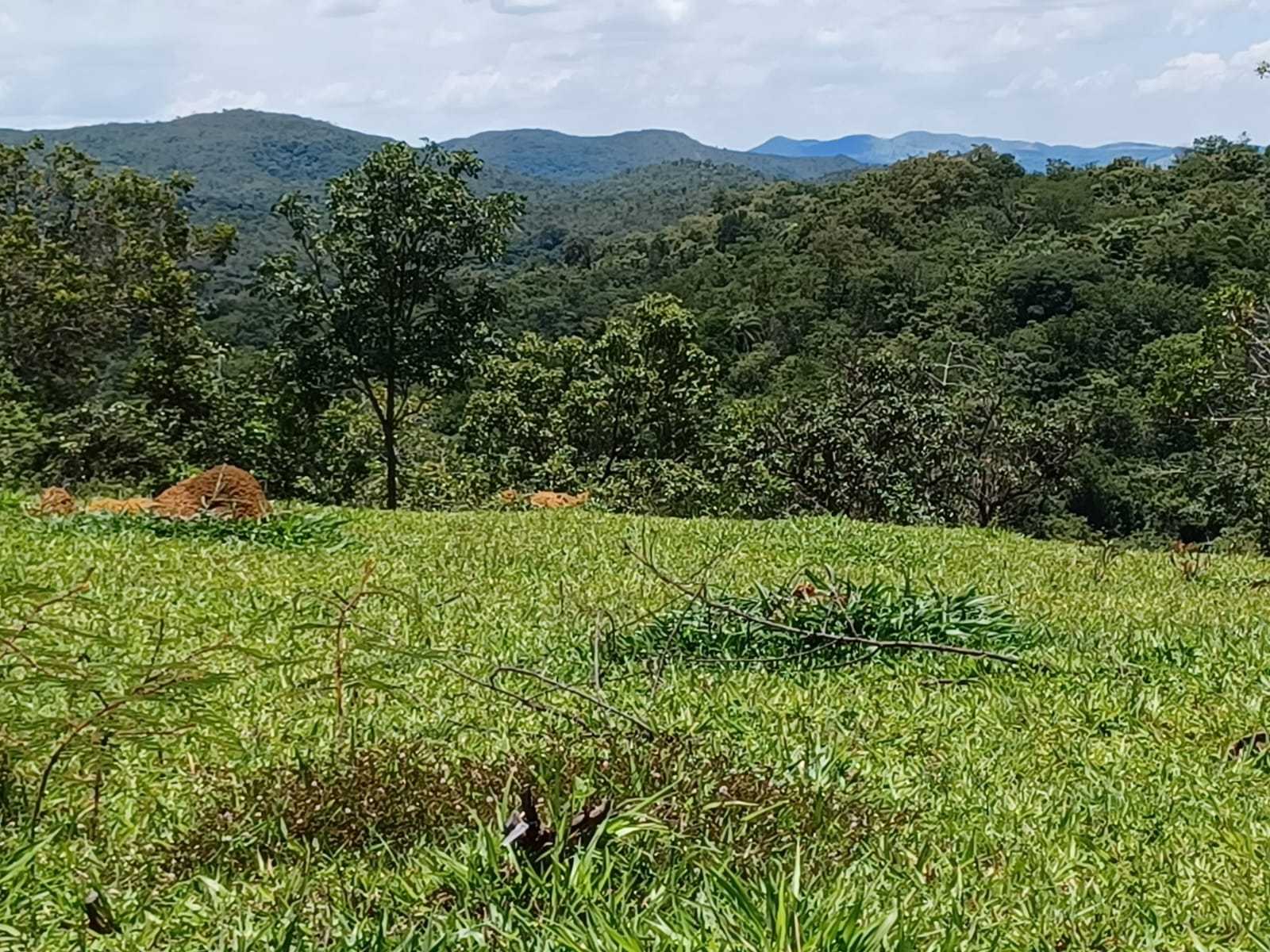 Chácara à venda com 3 quartos, 800000m² - Foto 19