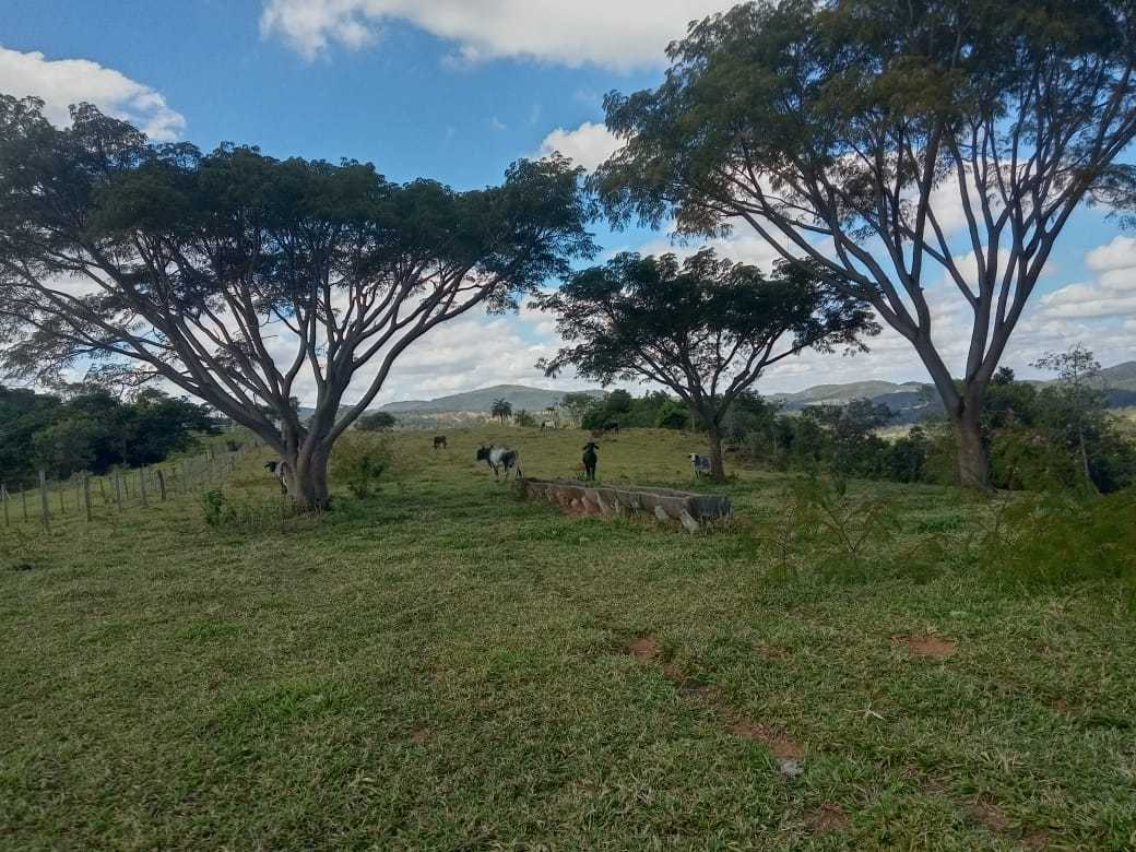 Chácara à venda com 3 quartos, 800000m² - Foto 20