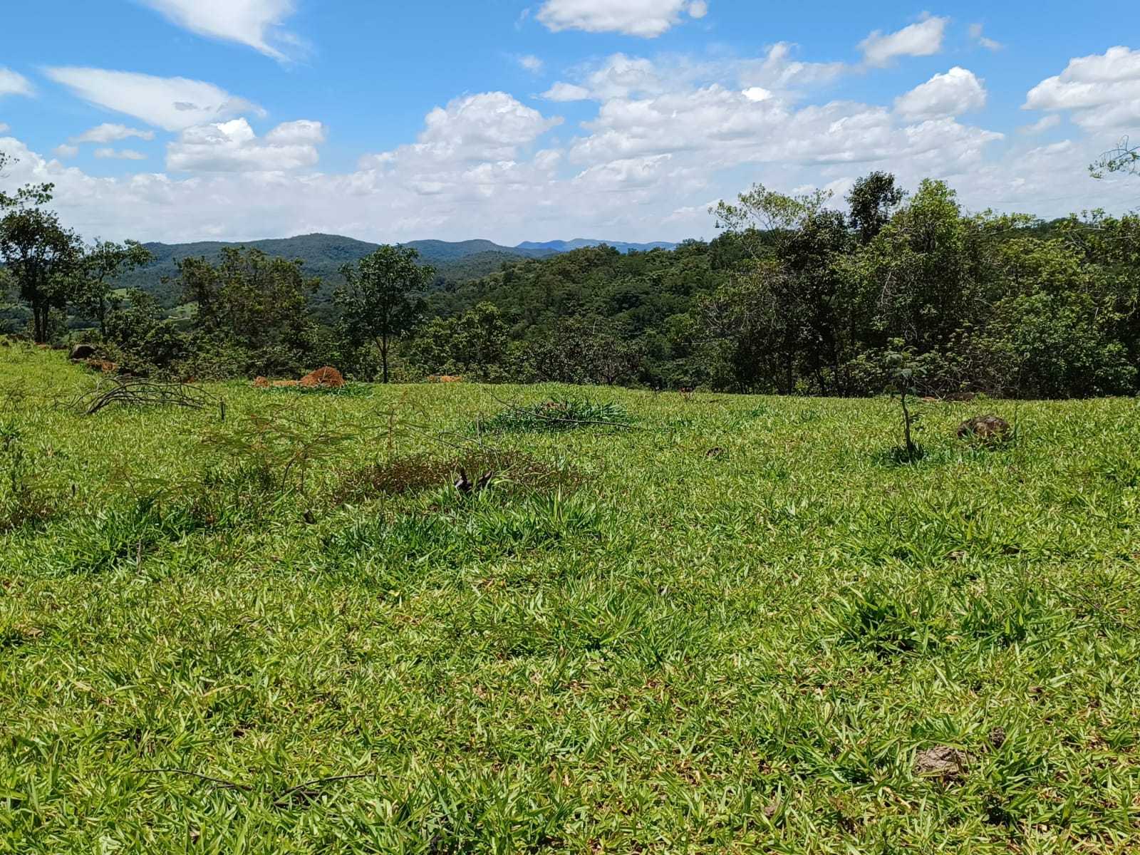 Chácara à venda com 3 quartos, 800000m² - Foto 9