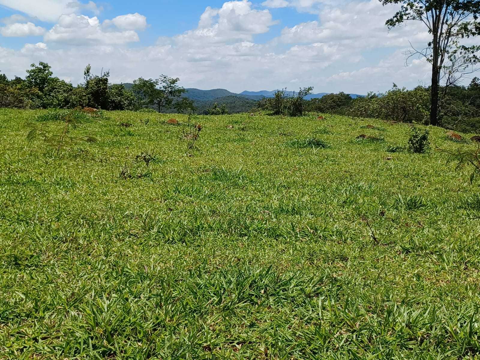 Chácara à venda com 3 quartos, 800000m² - Foto 10