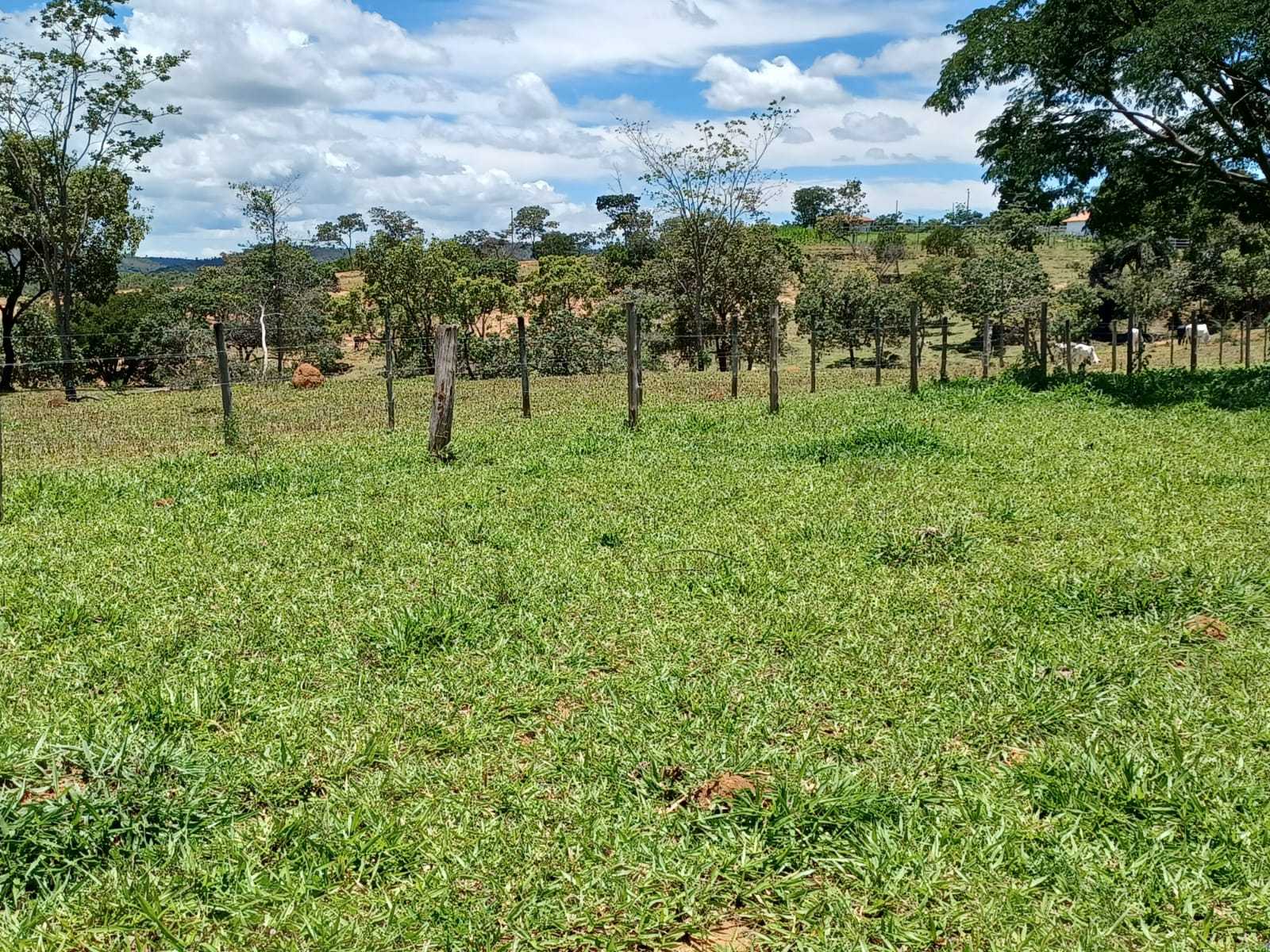 Chácara à venda com 3 quartos, 800000m² - Foto 14