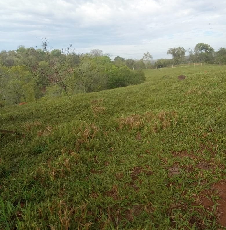 Chácara à venda com 3 quartos, 800000m² - Foto 4