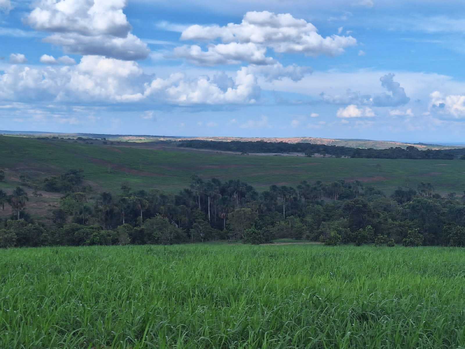 Chácara à venda com 2 quartos, 12500000m² - Foto 8