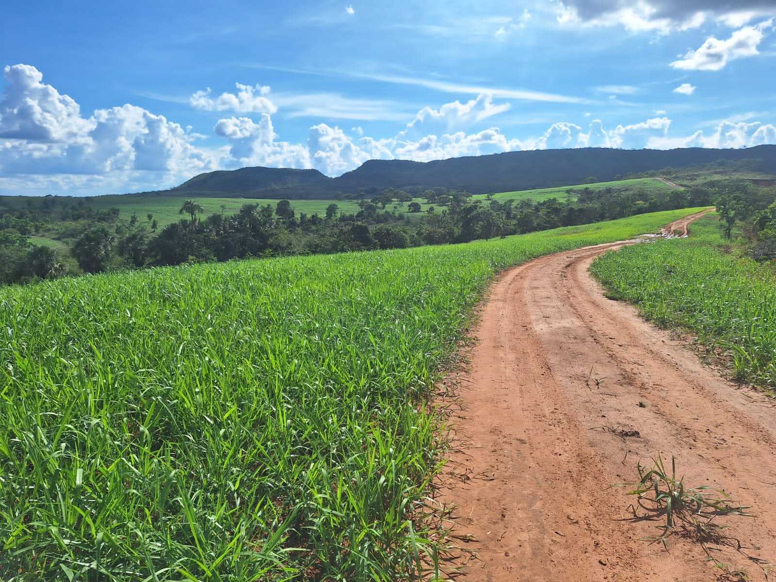 Chácara à venda com 2 quartos, 12500000m² - Foto 5