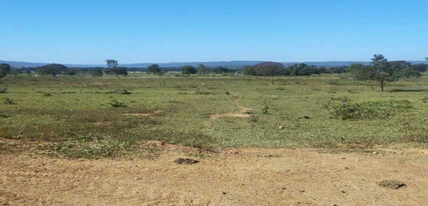 Chácara à venda com 2 quartos, 12500000m² - Foto 14