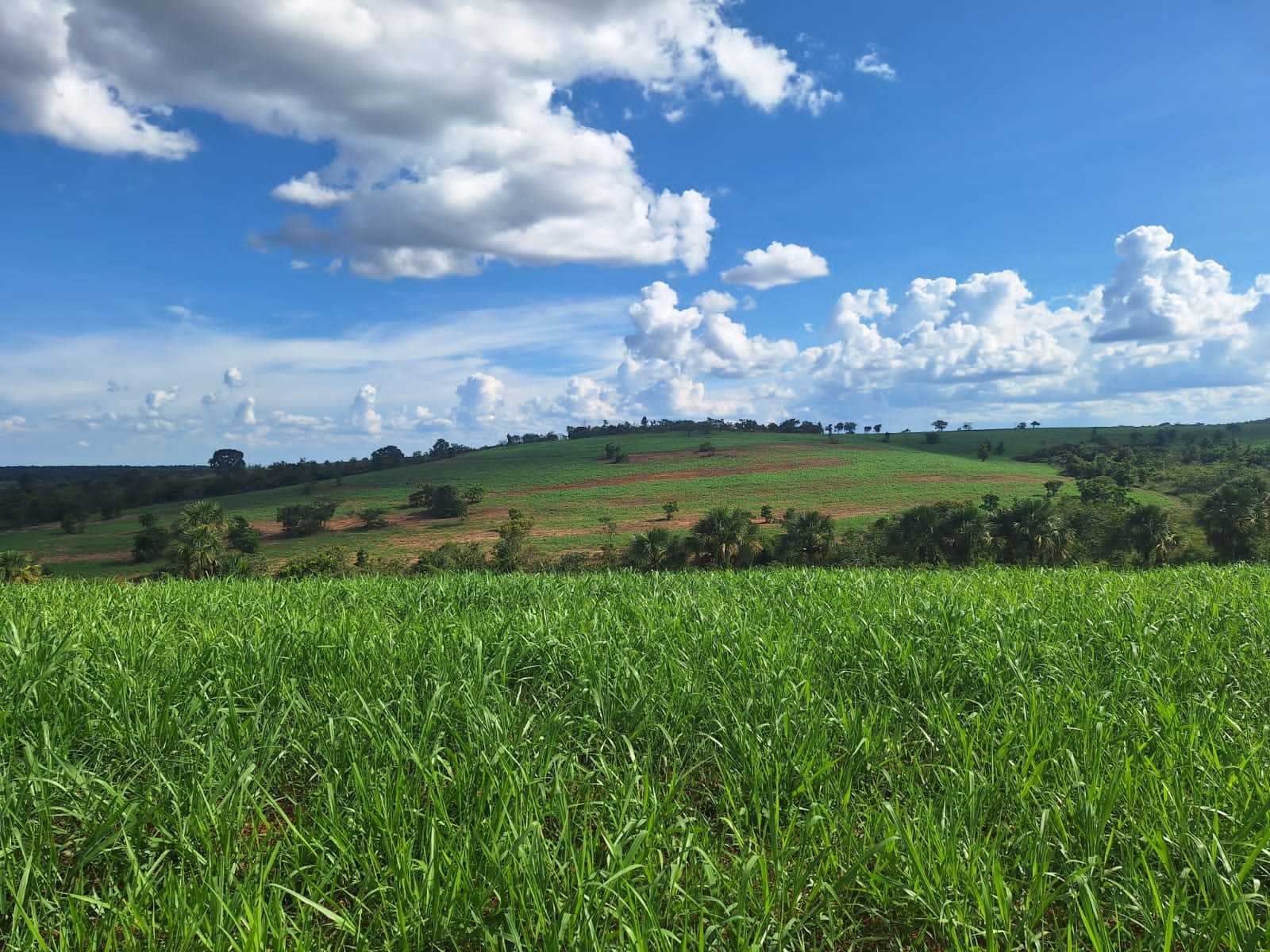 Chácara à venda com 2 quartos, 12500000m² - Foto 6