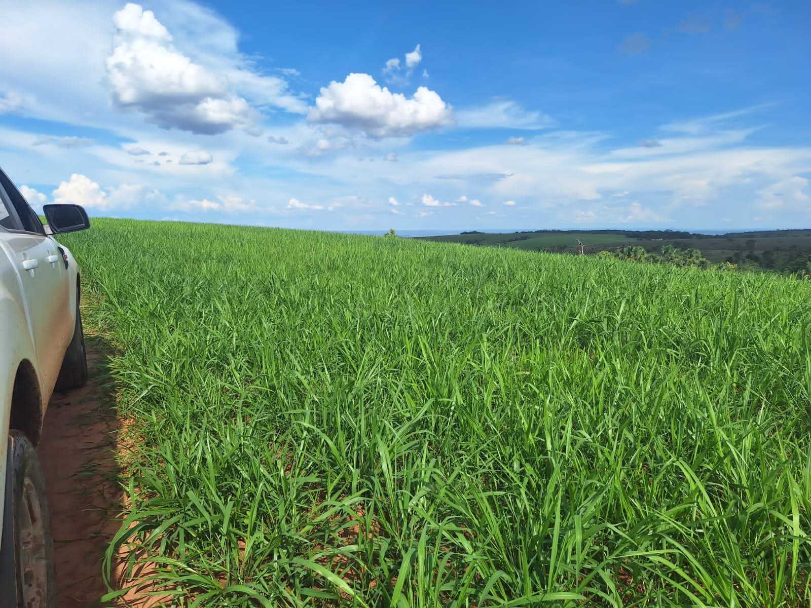 Chácara à venda com 2 quartos, 12500000m² - Foto 2