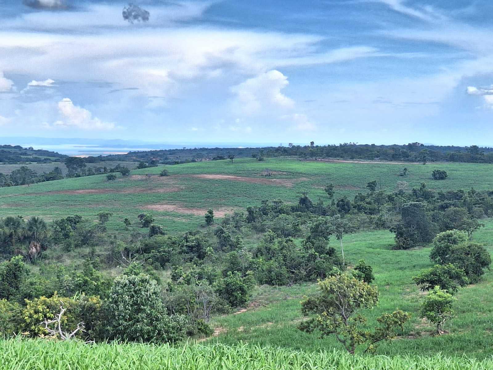 Chácara à venda com 2 quartos, 12500000m² - Foto 7