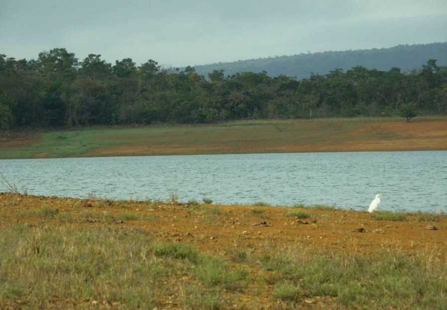 Chácara à venda com 2 quartos, 12500000m² - Foto 18