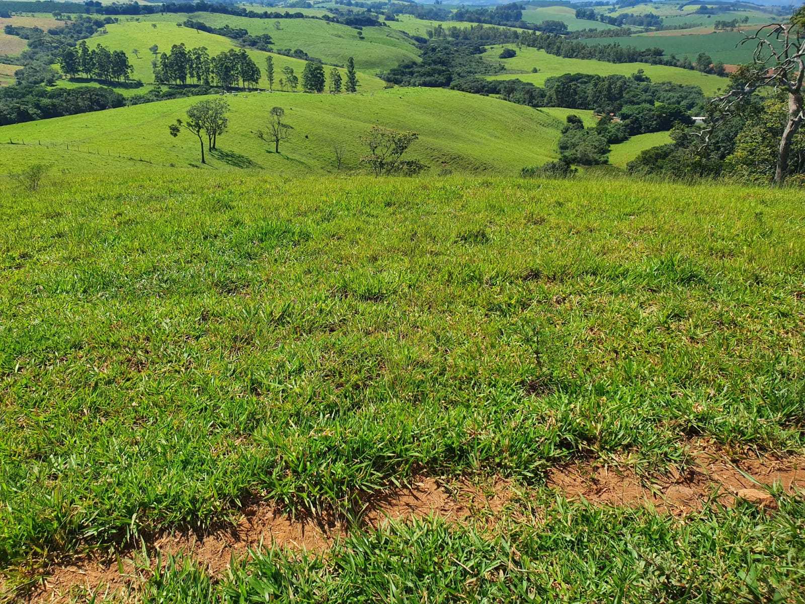 Chácara à venda com 2 quartos, 2420000m² - Foto 8