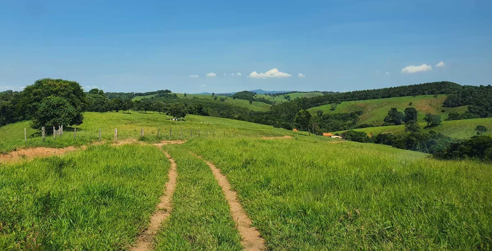 Chácara à venda com 2 quartos, 2420000m² - Foto 9