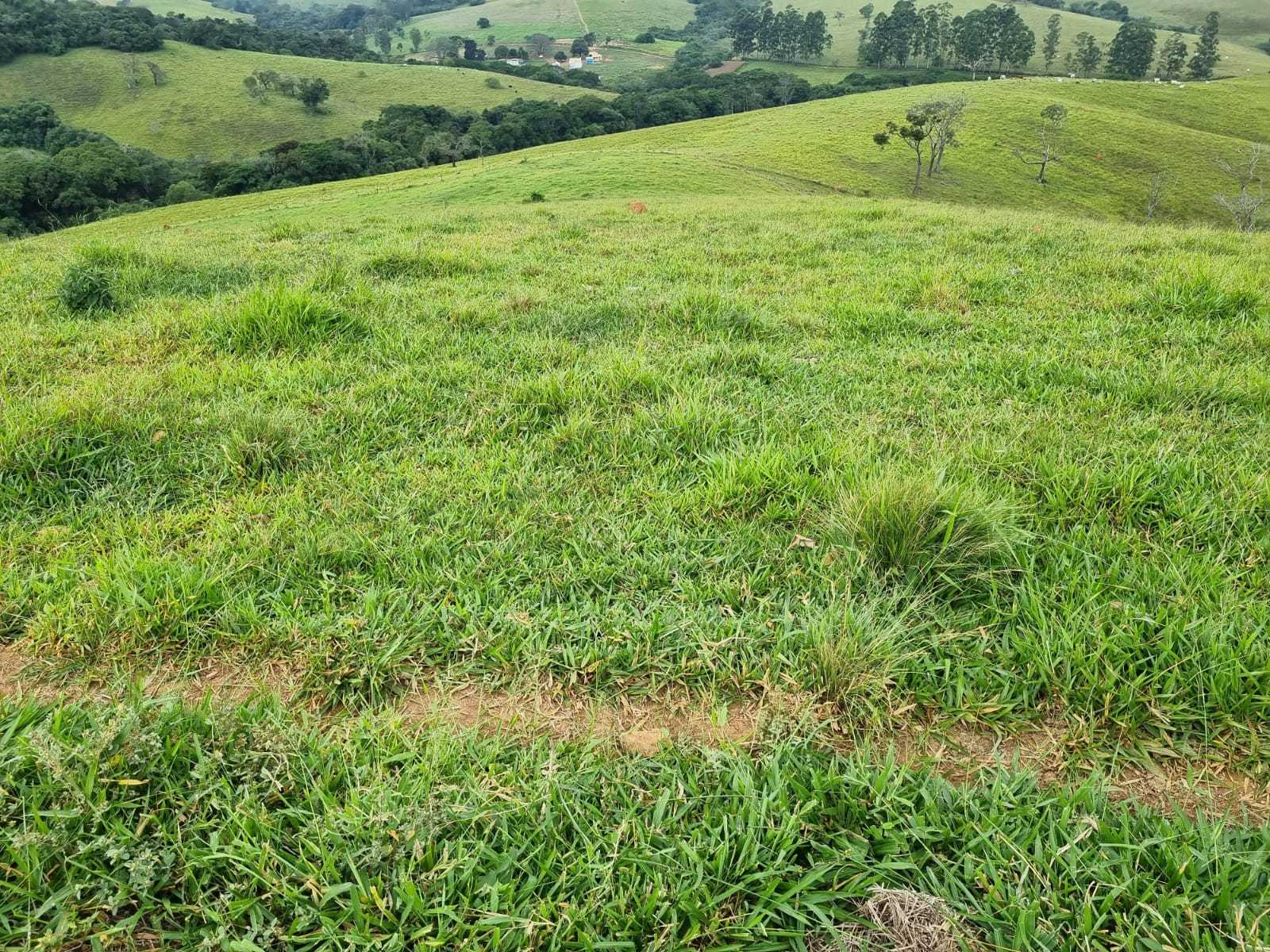 Chácara à venda com 2 quartos, 2420000m² - Foto 3