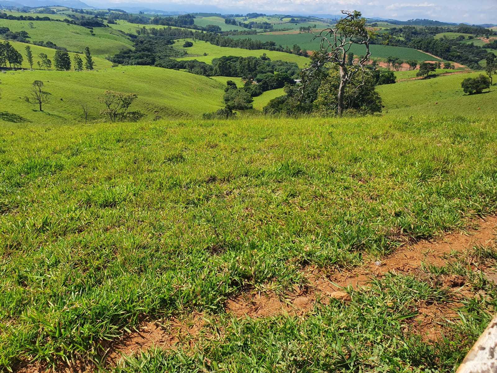 Chácara à venda com 2 quartos, 2420000m² - Foto 1