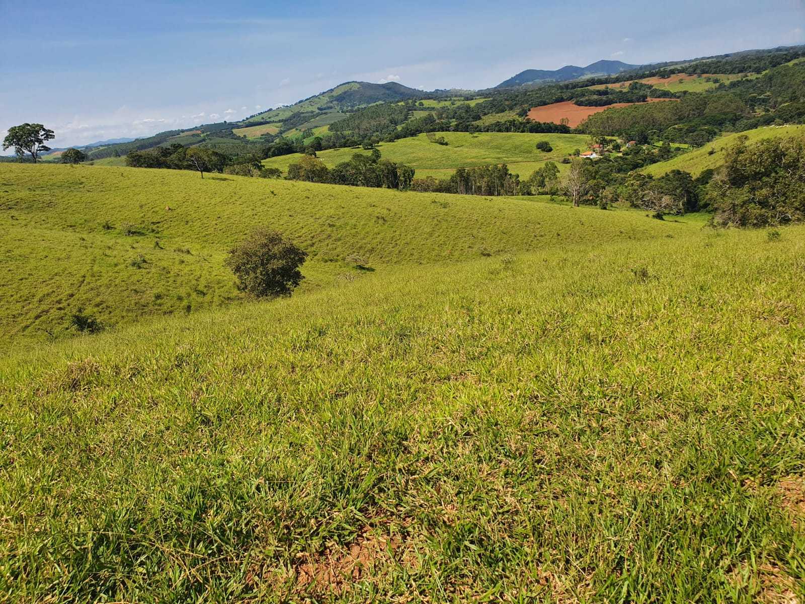 Chácara à venda com 2 quartos, 2420000m² - Foto 5