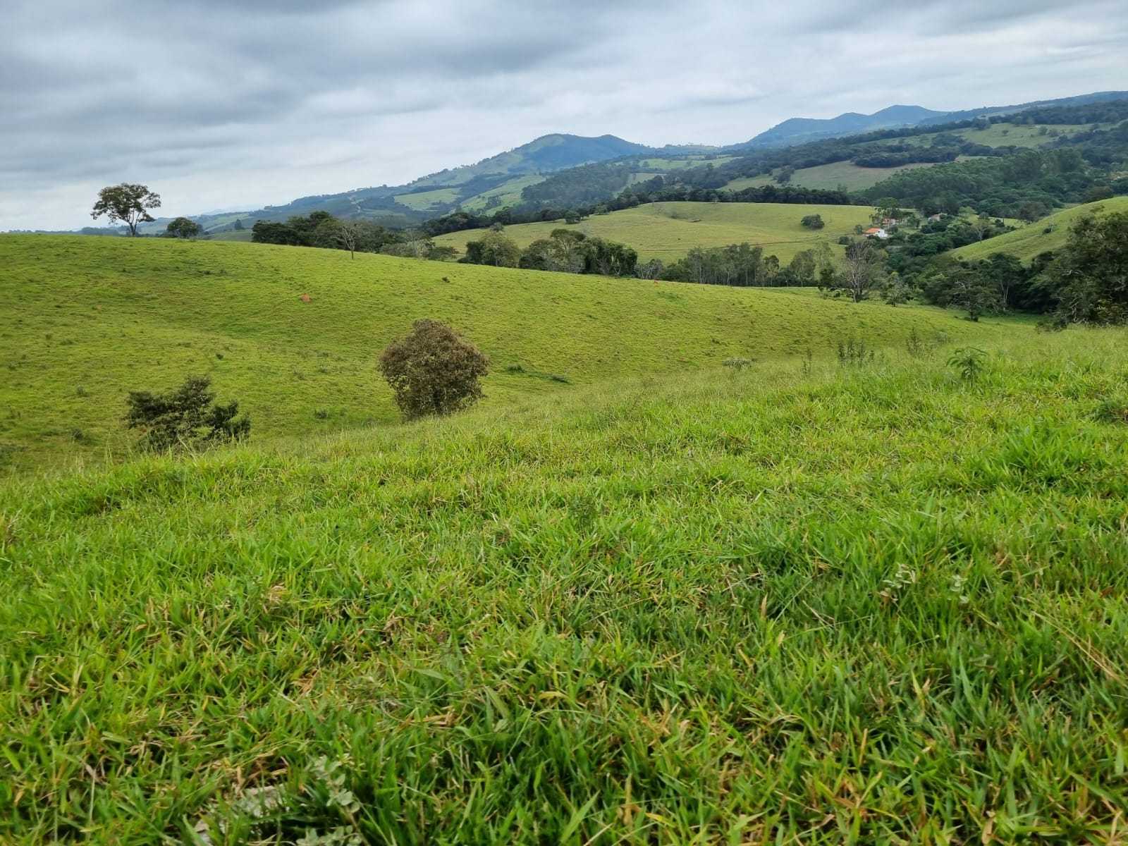 Chácara à venda com 2 quartos, 2420000m² - Foto 15