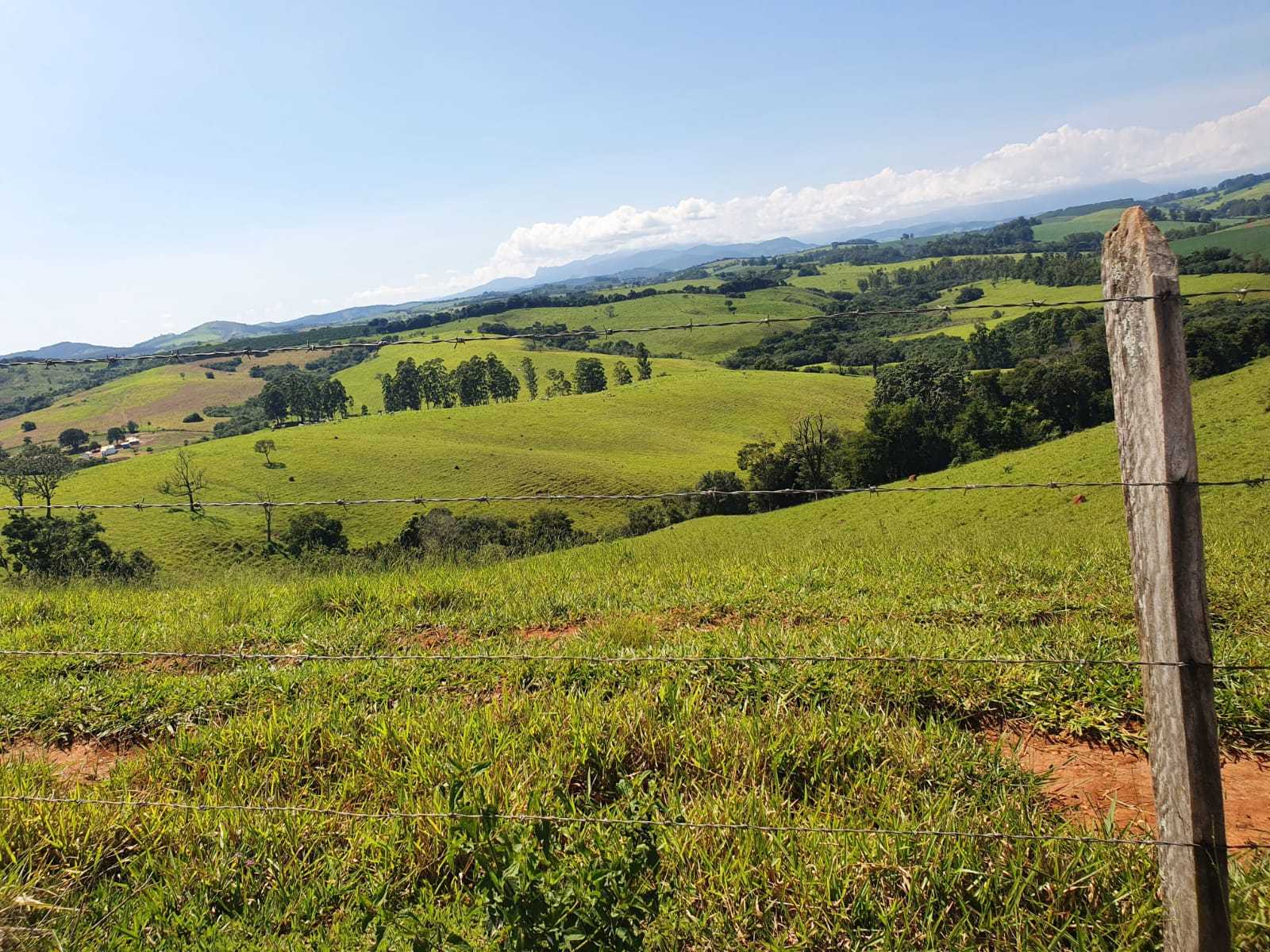 Chácara à venda com 2 quartos, 2420000m² - Foto 10