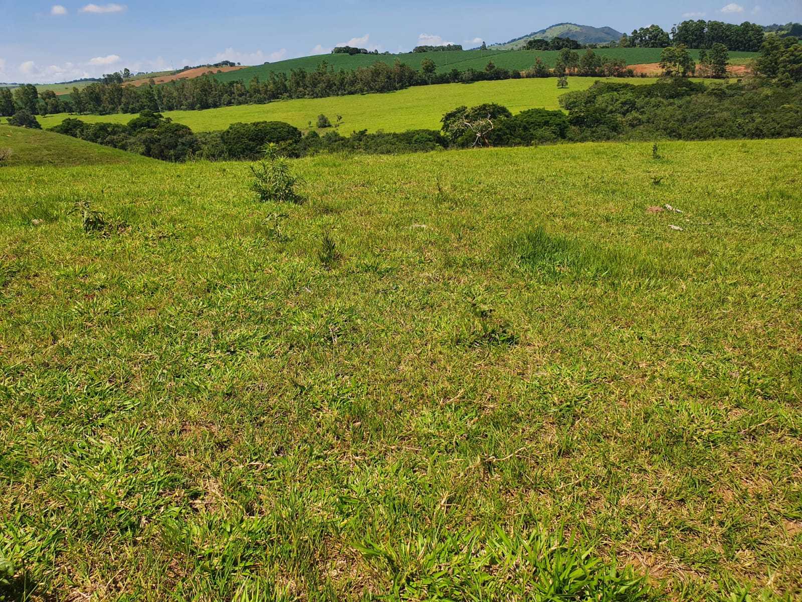 Chácara à venda com 2 quartos, 2420000m² - Foto 6