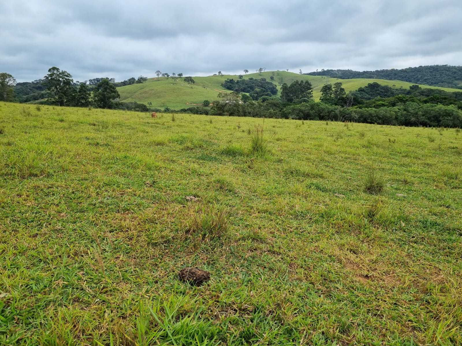 Chácara à venda com 2 quartos, 2420000m² - Foto 2