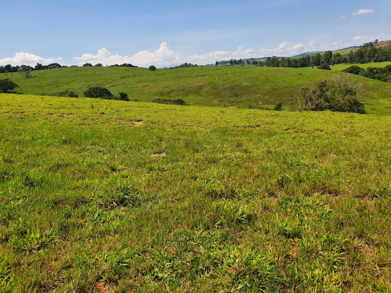 Chácara à venda com 2 quartos, 2420000m² - Foto 11