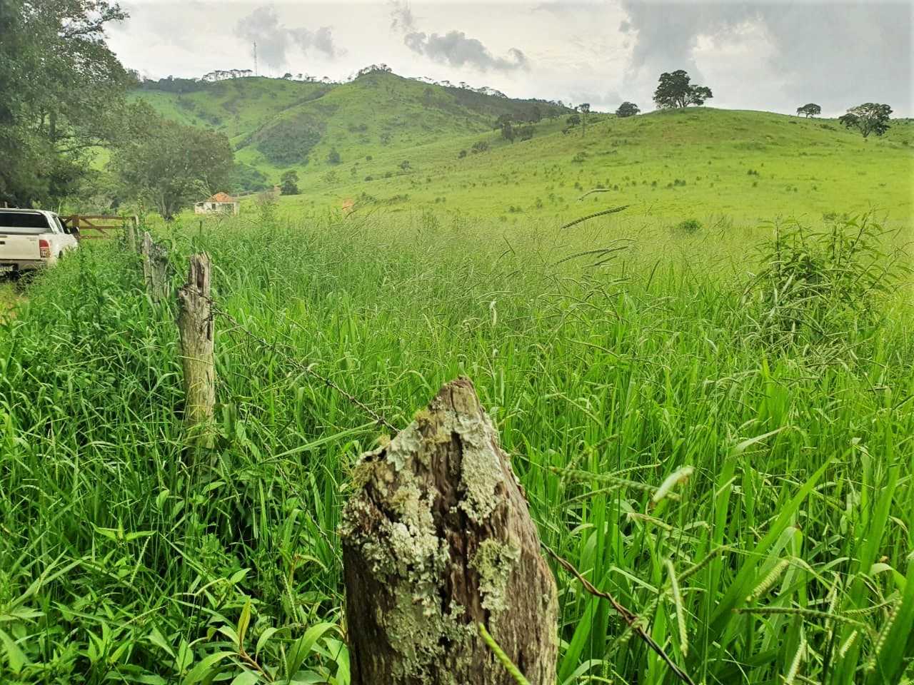 Chácara à venda com 4 quartos, 2080000m² - Foto 5