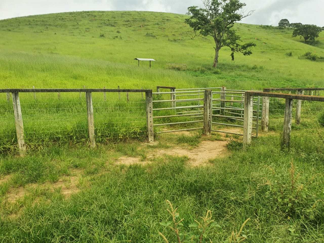 Chácara à venda com 4 quartos, 2080000m² - Foto 7