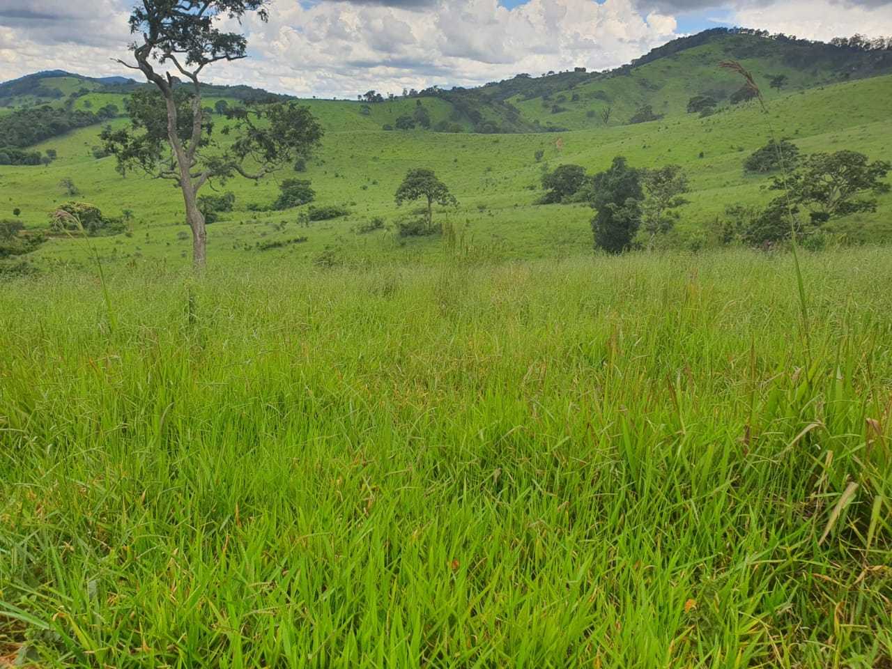 Chácara à venda com 4 quartos, 2080000m² - Foto 15