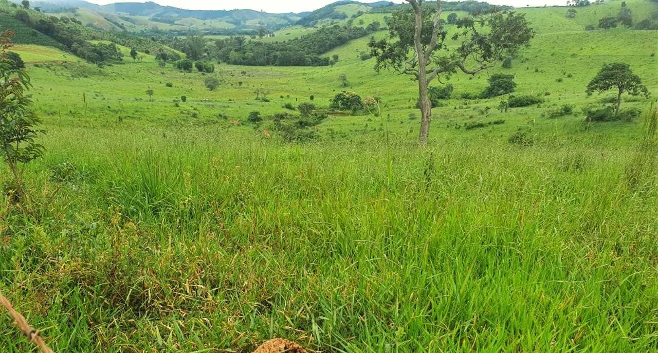 Chácara à venda com 4 quartos, 2080000m² - Foto 8