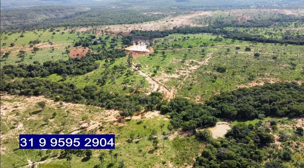 Chácara à venda com 3 quartos, 6870000m² - Foto 2