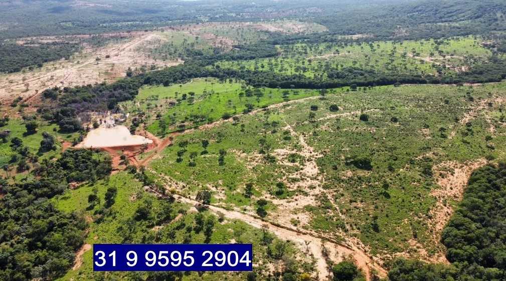 Chácara à venda com 3 quartos, 6870000m² - Foto 8