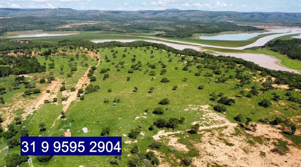 Chácara à venda com 3 quartos, 6870000m² - Foto 13