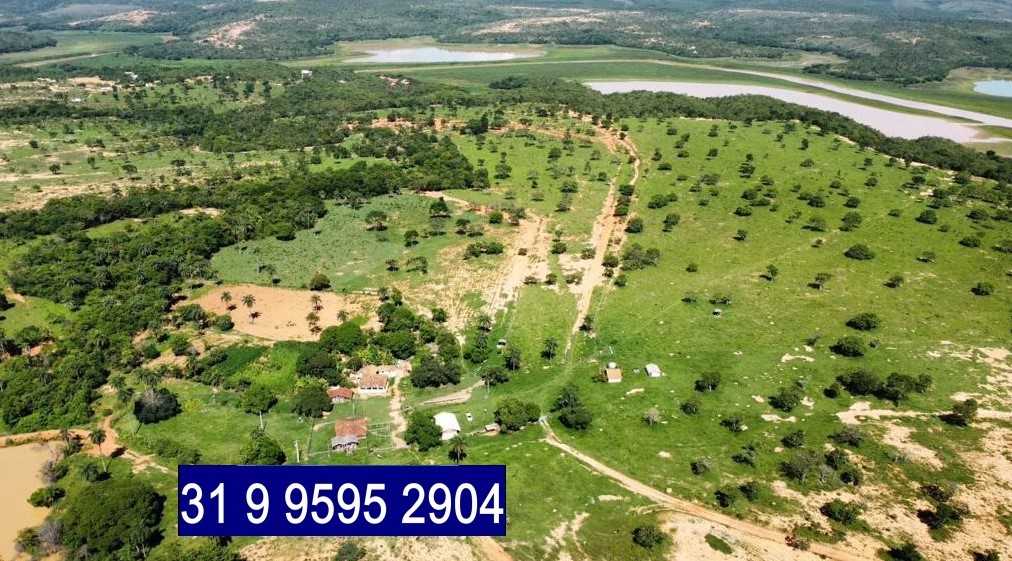 Chácara à venda com 3 quartos, 6870000m² - Foto 14