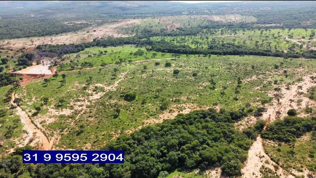 Chácara à venda com 3 quartos, 6870000m² - Foto 5