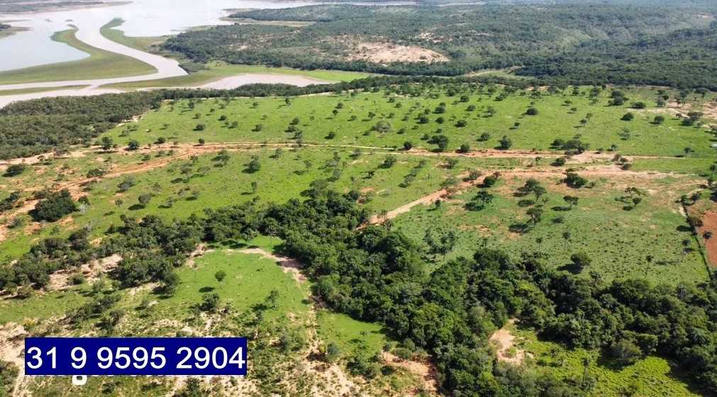 Chácara à venda com 3 quartos, 6870000m² - Foto 7