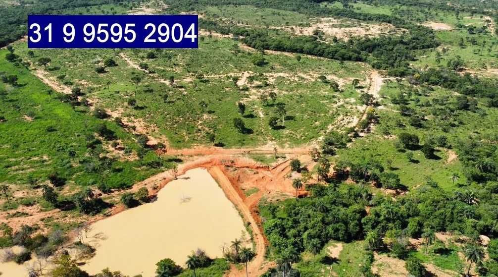 Chácara à venda com 3 quartos, 6870000m² - Foto 12