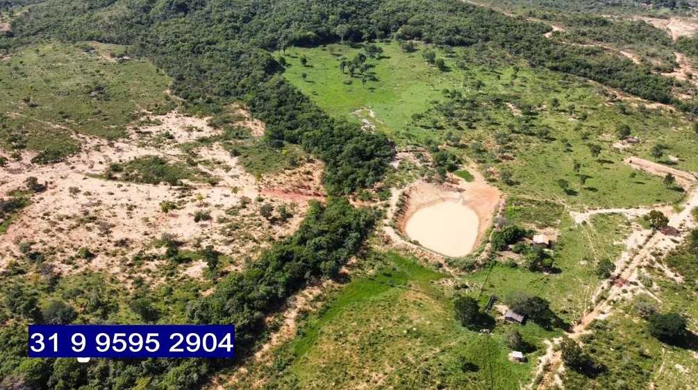 Chácara à venda com 3 quartos, 6870000m² - Foto 6