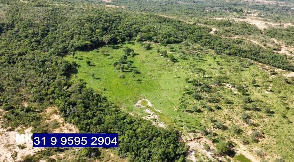 Chácara à venda com 3 quartos, 6870000m² - Foto 4