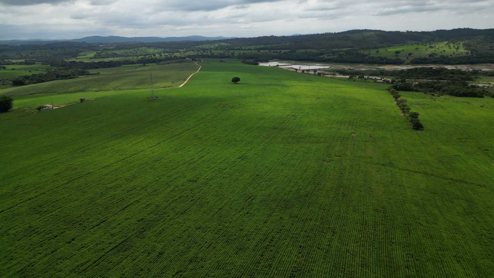 Chácara à venda com 3 quartos, 1700000m² - Foto 13