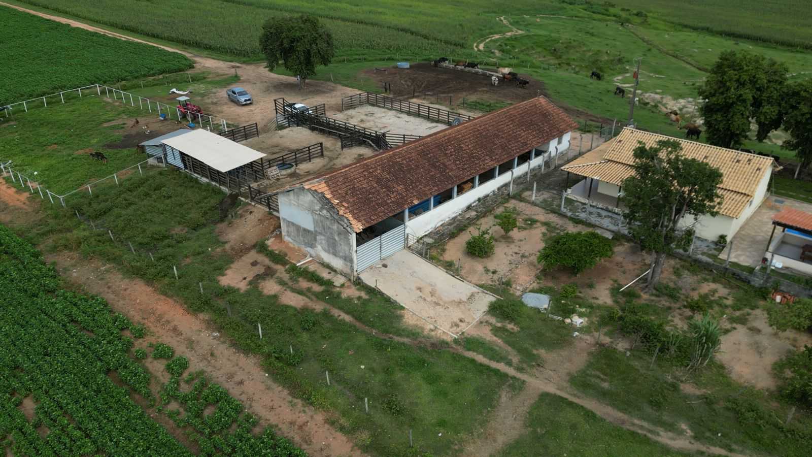 Chácara à venda com 3 quartos, 1700000m² - Foto 2