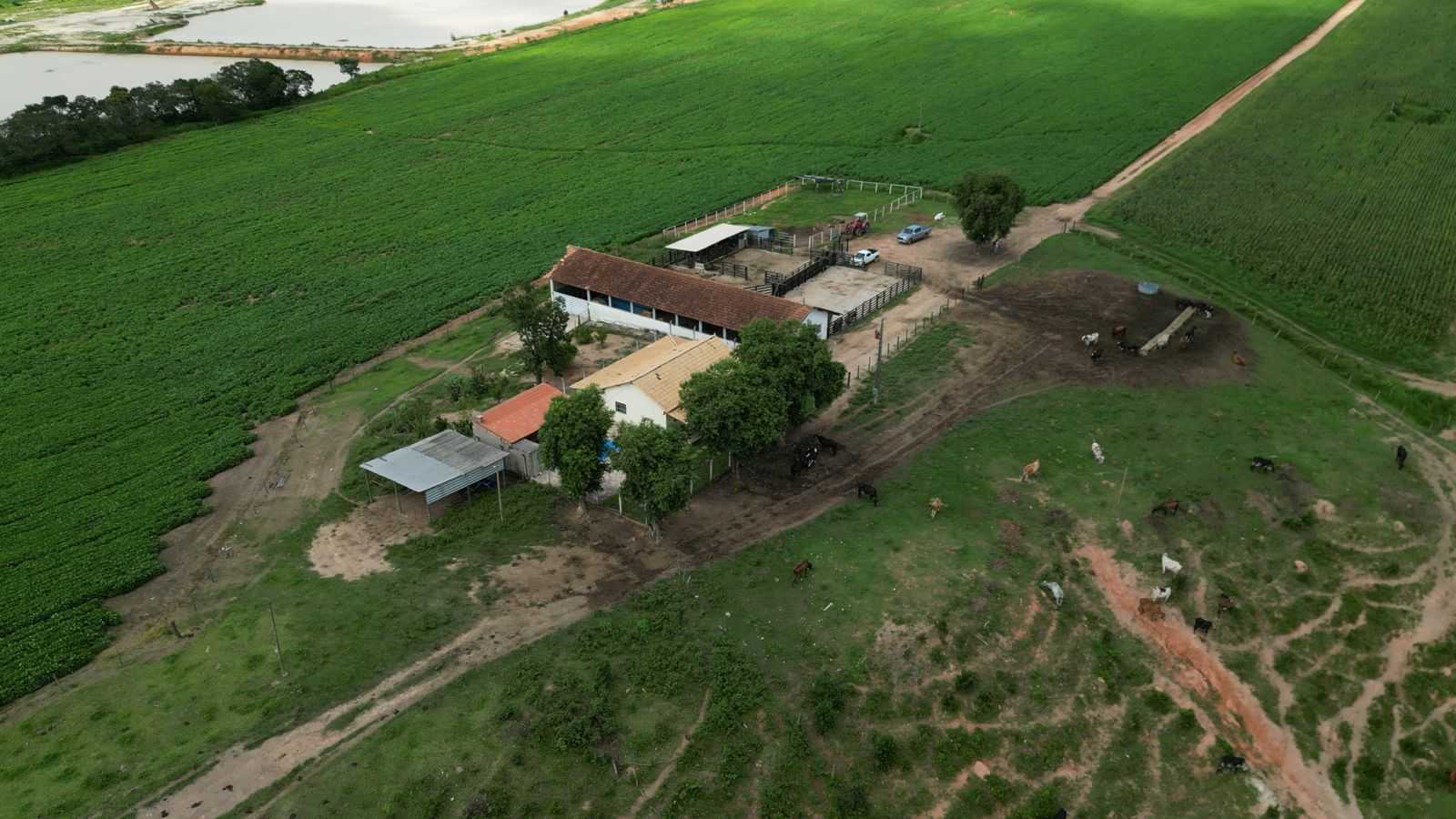 Chácara à venda com 3 quartos, 1700000m² - Foto 3