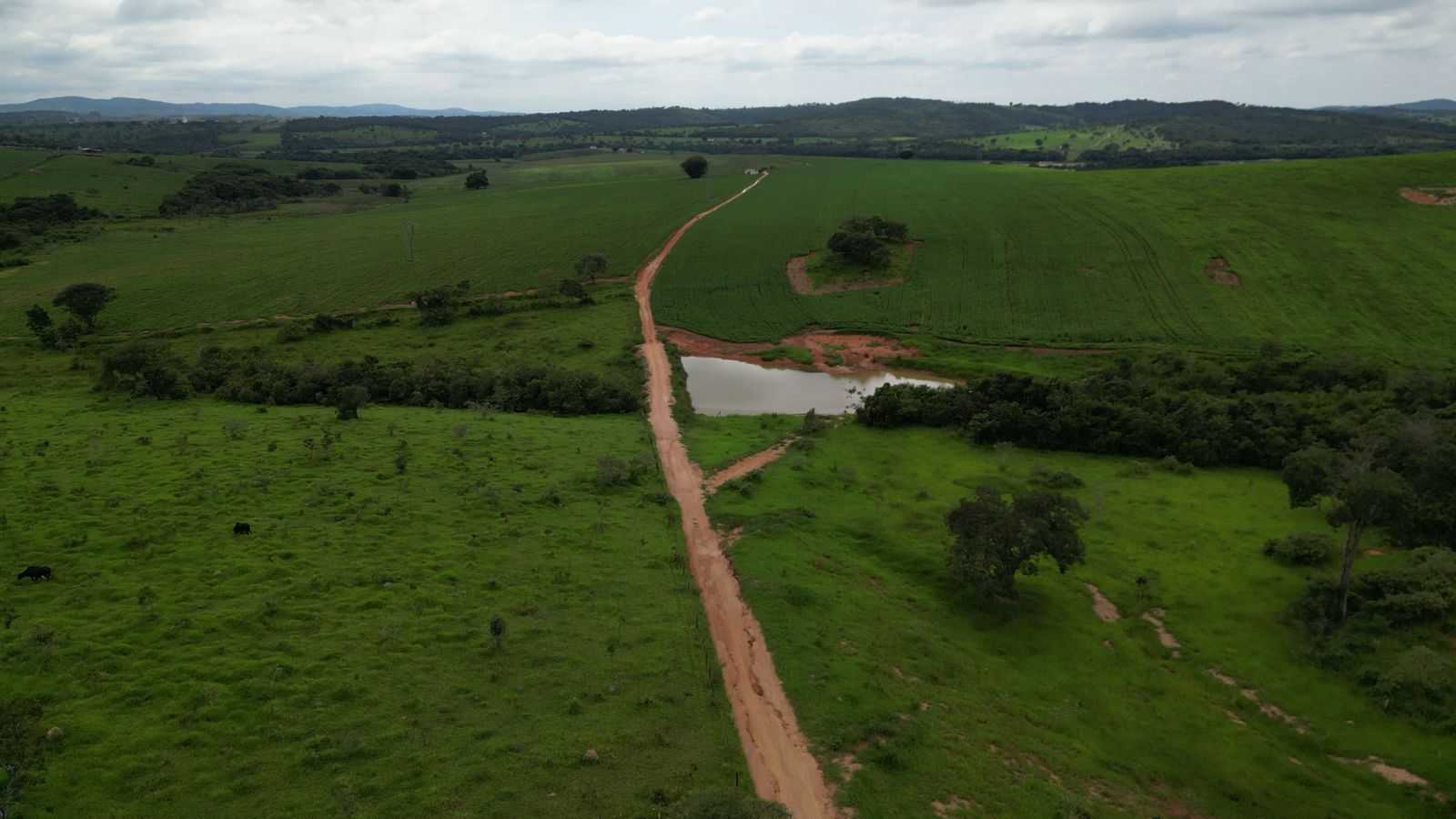 Chácara à venda com 3 quartos, 1700000m² - Foto 9