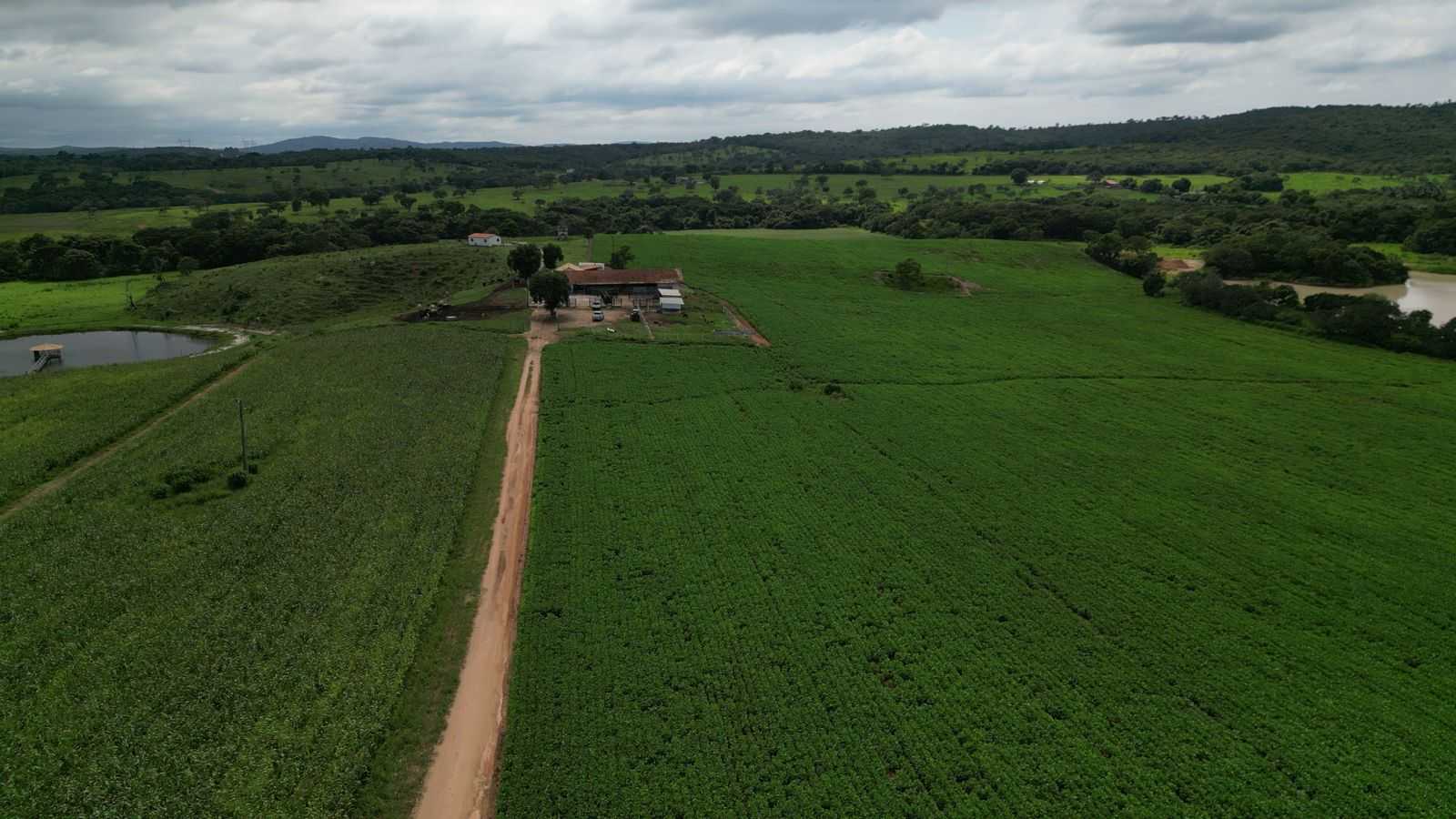 Chácara à venda com 3 quartos, 1700000m² - Foto 6