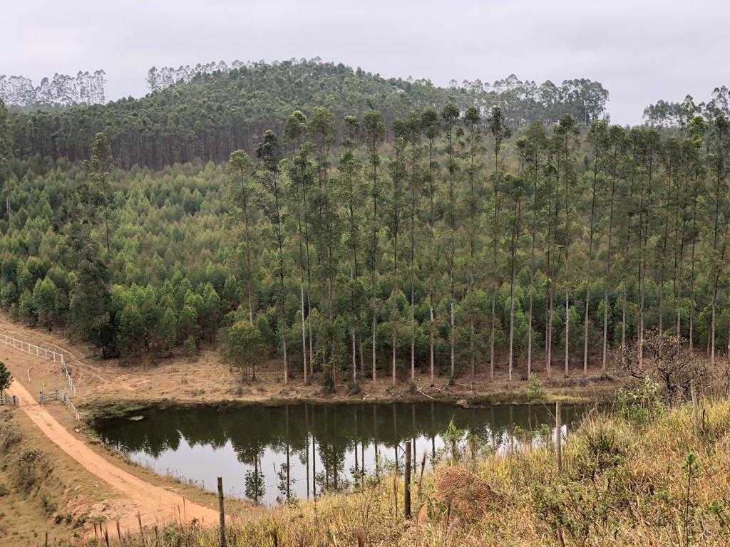 Chácara à venda com 4 quartos, 2510000m² - Foto 17