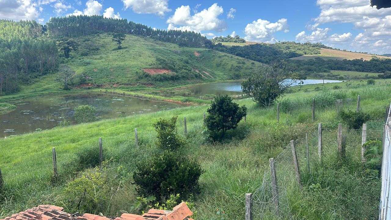 Chácara à venda com 4 quartos, 2510000m² - Foto 2