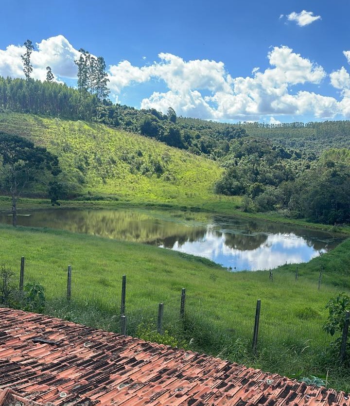 Chácara à venda com 4 quartos, 2510000m² - Foto 3